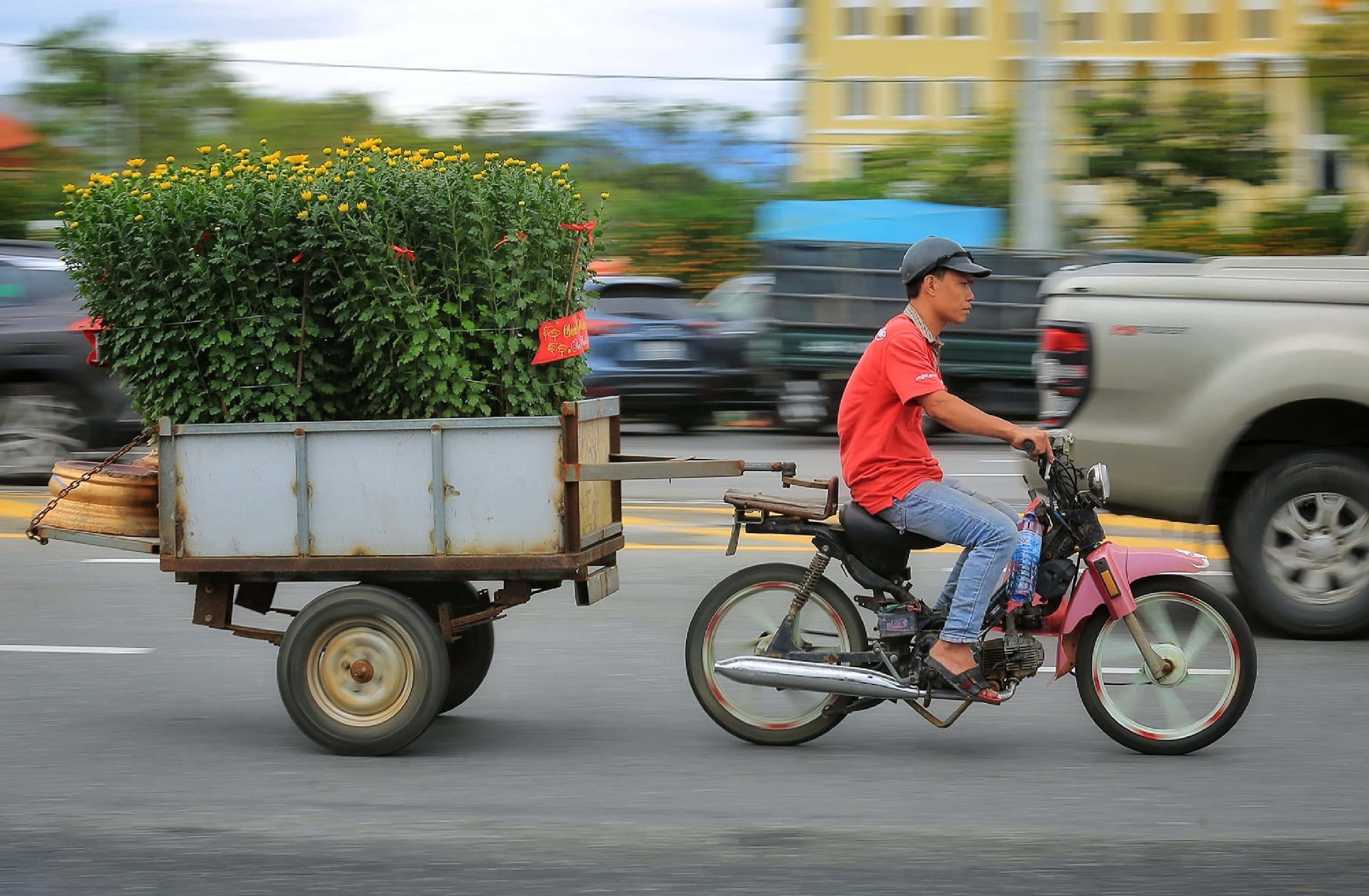 Mang Tết về nhà